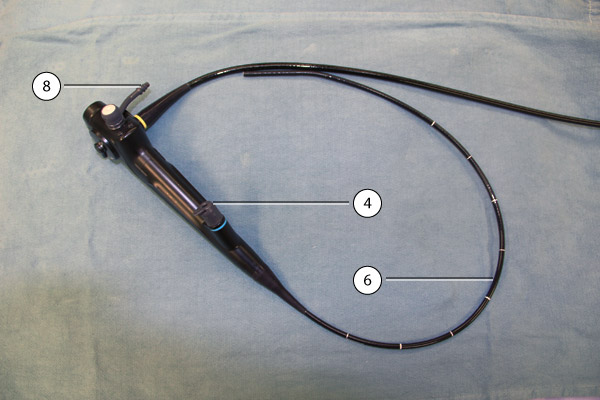 Bronchoscope (video)